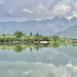 Dal Lake Srinagar 12