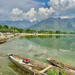 Dal Lake Srinagar 3