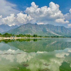 Dal Lake Srinagar 4
