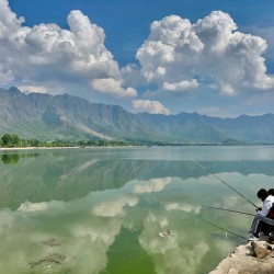 Dal Lake Srinagar 5