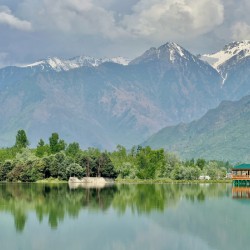 Dal Lake Srinagar 8