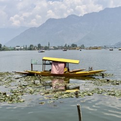 Dal Lake Srinagar 9