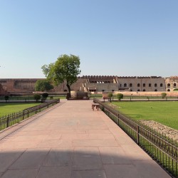 Agra Fort 11
