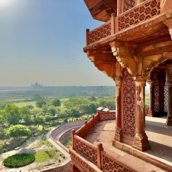 Agra Fort 13