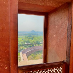Agra Fort 15