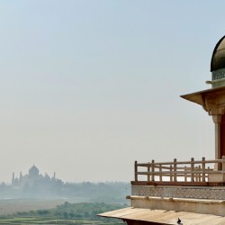 Agra Fort 22