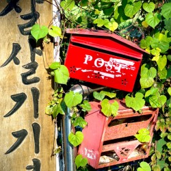 Ihwa Mural Village Seoul Korea 11