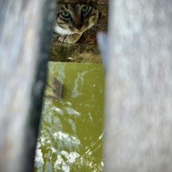 Kampong Ayer Floating Village Brunei 5
