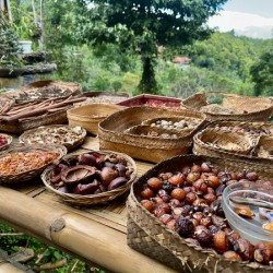 Looks Delicious Munduk Bali