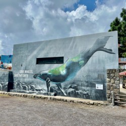 Seogwipo Jeju South Korea 2