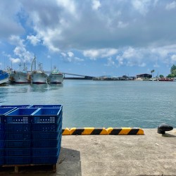 Seogwipo Jeju South Korea 4