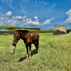 Seopjikoji Jeju South Korea 3