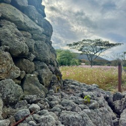 Stone Park Jeju South Korea 7