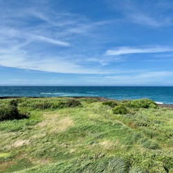 The Calm Jeju South Korea