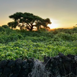 The Sunset Behind Jeju South Korea