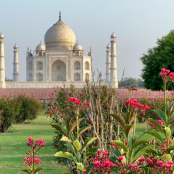 The Taj Mahal Collection 1
