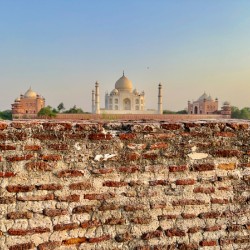 The Taj Mahal Collection 10