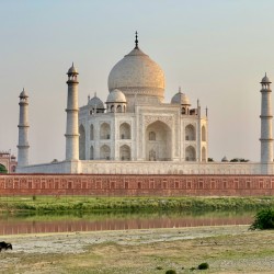 The Taj Mahal Collection 12