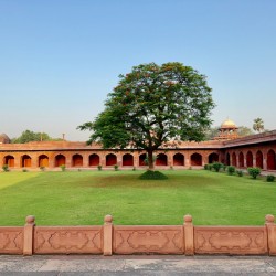 The Taj Mahal Collection 29