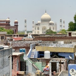 The Taj Mahal Collection 3