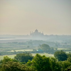 The Taj Mahal Collection 5