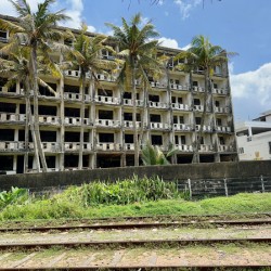 Abandoned Building with Palm Trees