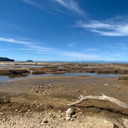 Abel Tasman National Park New Zealand 1