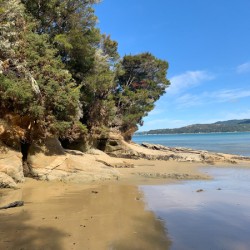 Abel Tasman National Park New Zealand 3