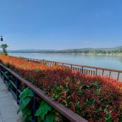 Along the Mekong River