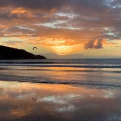 Amazing Sunset with Bird