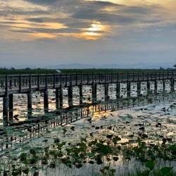 Amazing Walkway on the Lake During Sunset