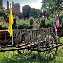 Ayutthaya Historical Park Temples 12
