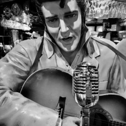 BW Elvis