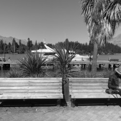 BW Reading on Twin Benches