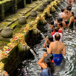 Bali Holy Water