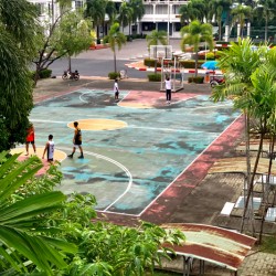 Basketball Court