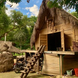 Beautiful Massive Hut