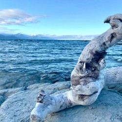 Bird Shaped Wood in Front of the Ocean