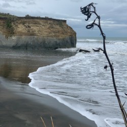 Black Sand on the Coast