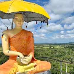 Buddha Under the Umbrella