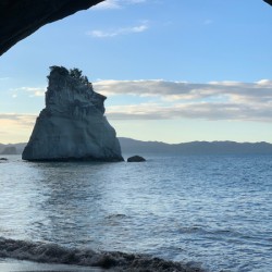 Cathedral Cove New Zealand 4