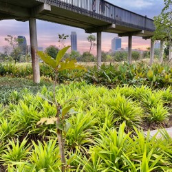 City Under the Bridge