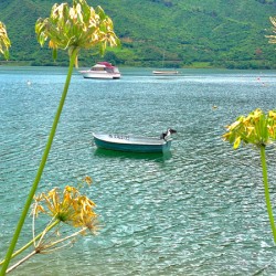 Empty Boat on the Lake