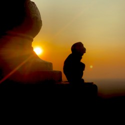 Enlightened Monkey at Sunset