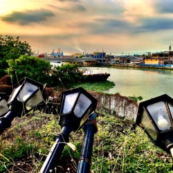 Falling Lamp posts  for the Sunset