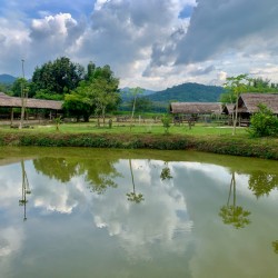Farm Reflection on the Lake