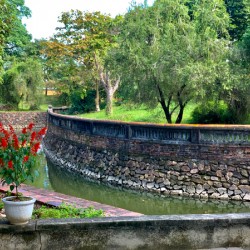 Fortified Red Flowers