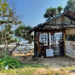Freedom Cafe Shack