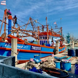 Freshly Painted Boat
