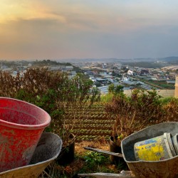 Gardening Equipment for Sunset